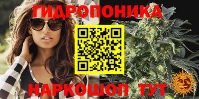 сатива Бузулук