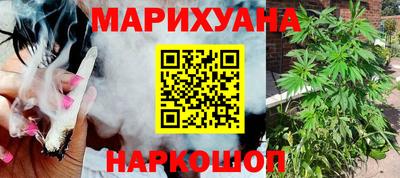 сатива Бузулук