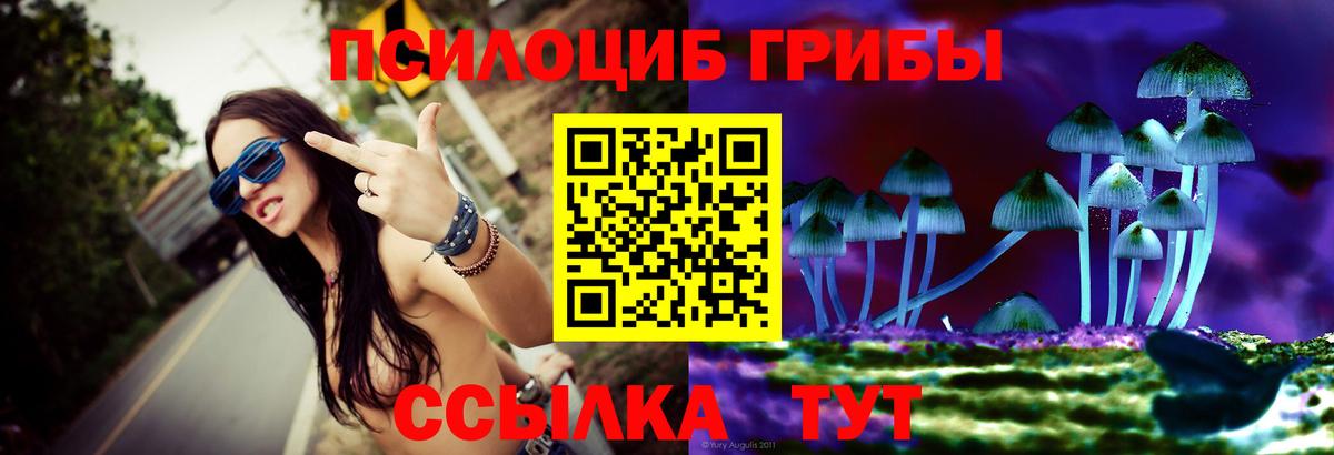 цена наркотик  Вход с VPN  Краснокаменск  Галлюциногенные грибы MAGIC MUSHROOMS 